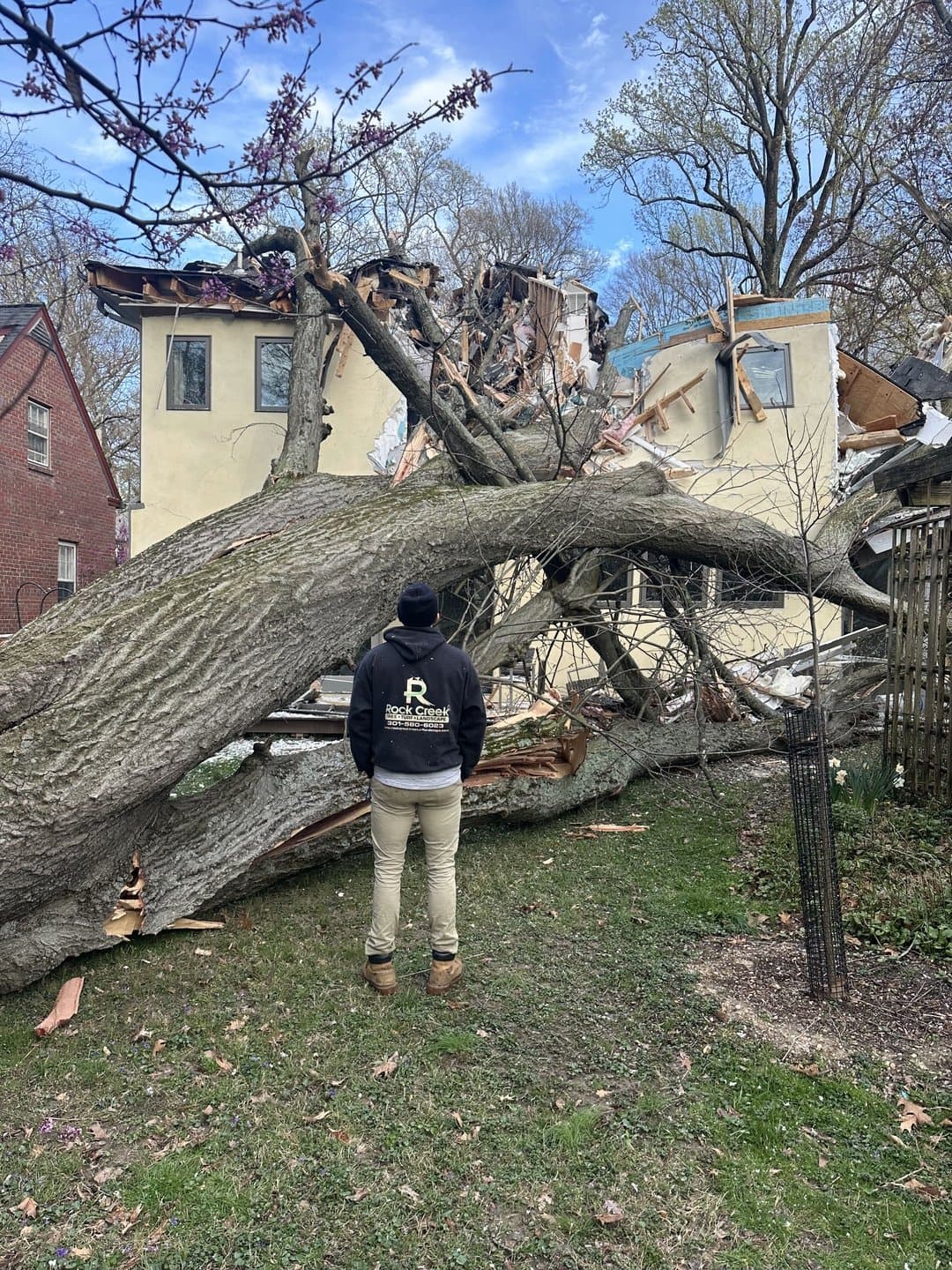 After the June Storms: How Montgomery County Homeowners Can Spot a Hazardous Tree Before It Falls