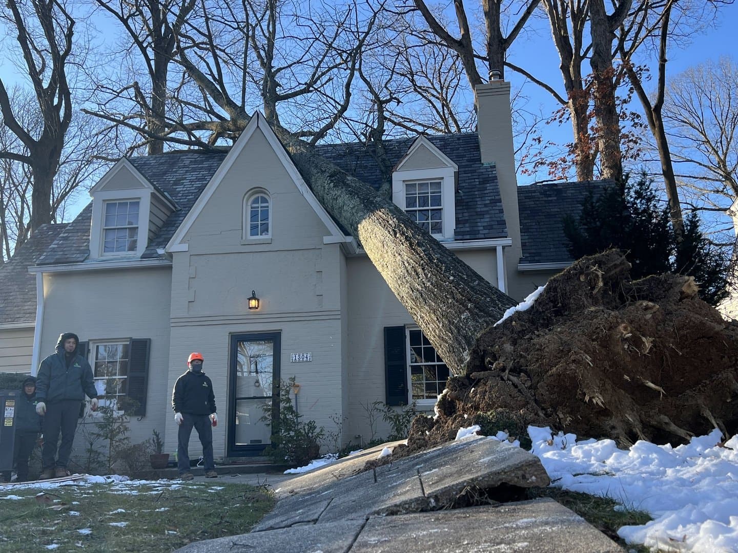 Tornado Watch and Severe Storms Across Maryland Today — What It Means for Your Trees