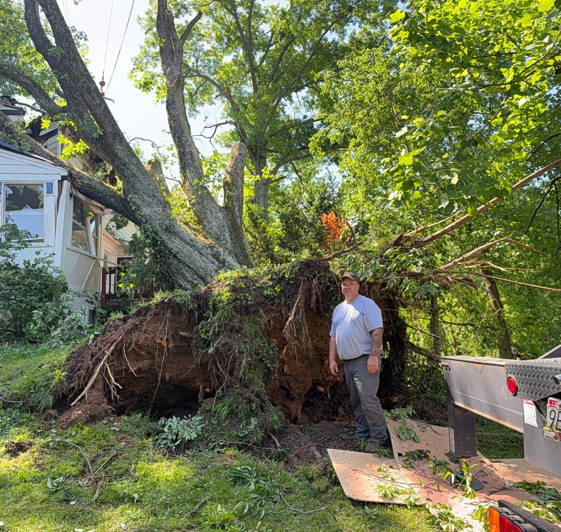 Record Heat and Midweek Storms: Why Early September Is When Montgomery County Trees Fail