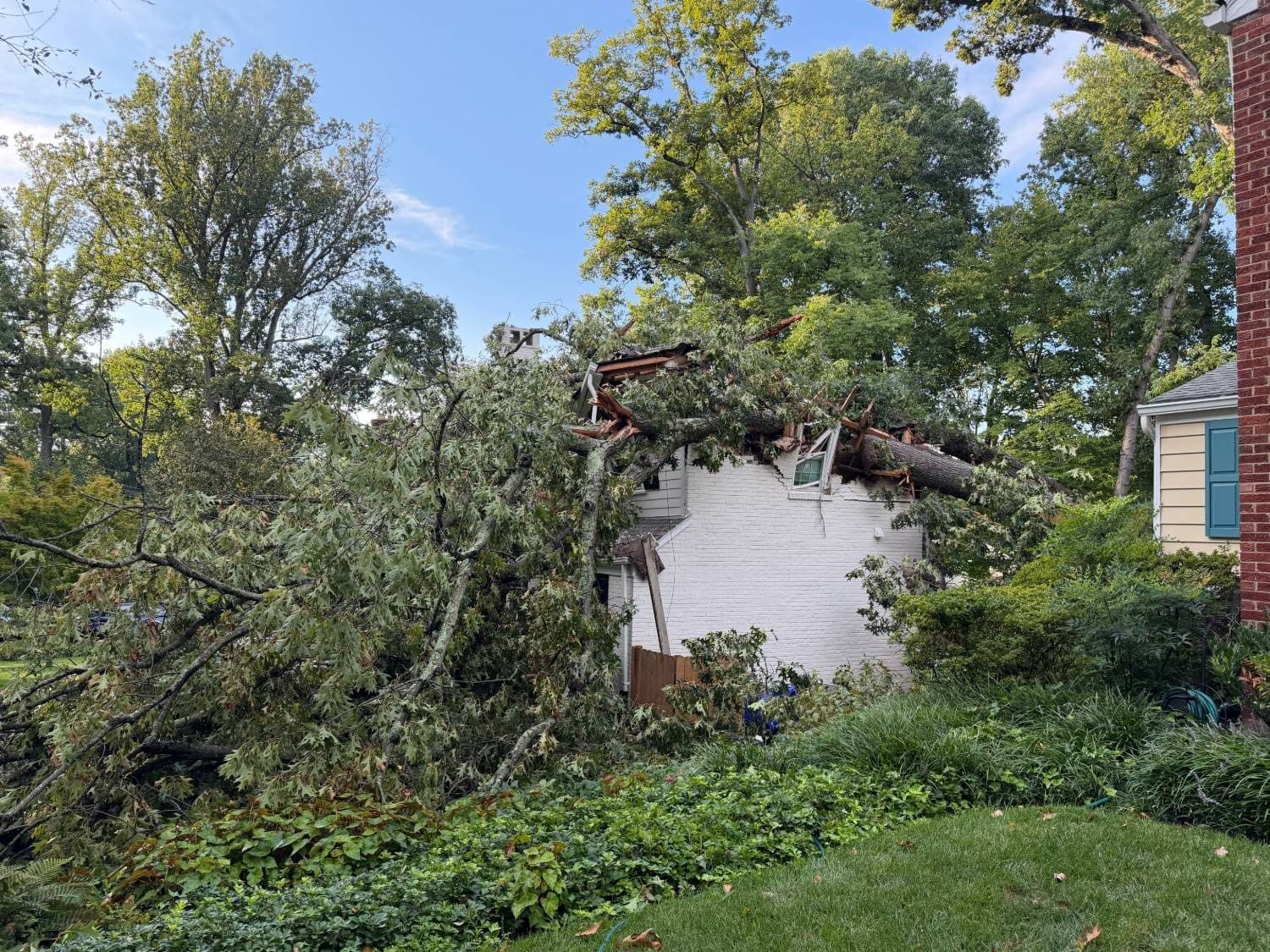 Emergency Tree Removal on Newburn Drive in Wood Acres, Bethesda