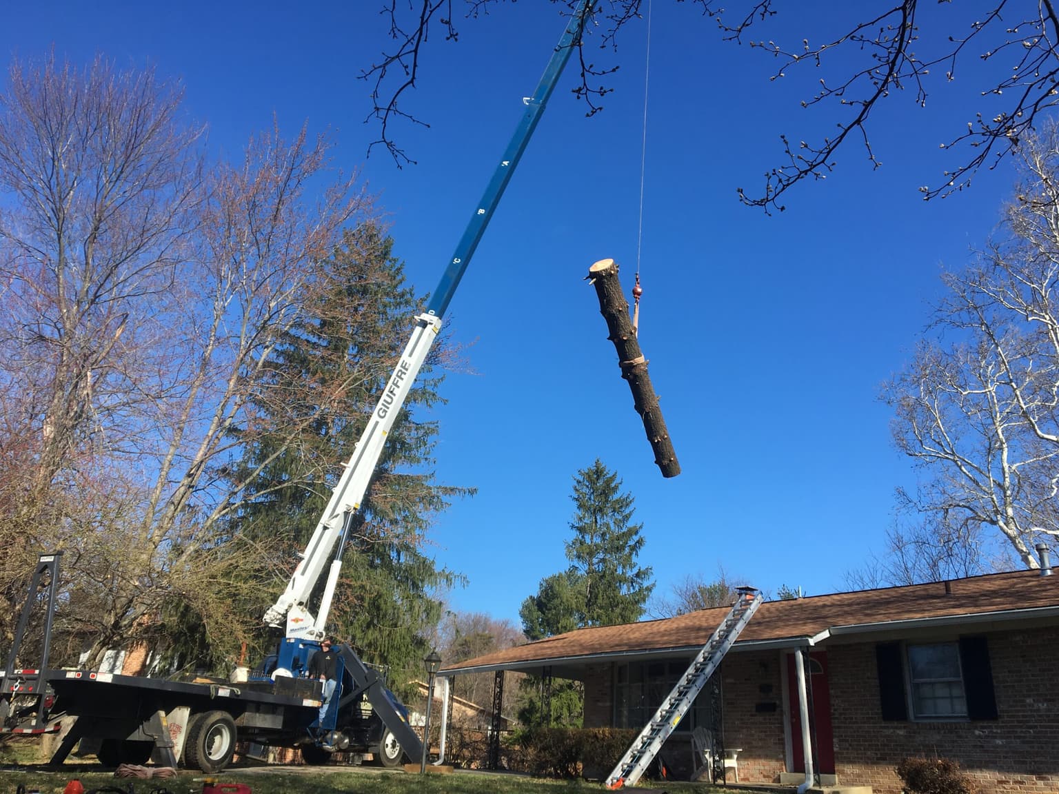 Professional crane removing a large tree near a Rockville Maryland home