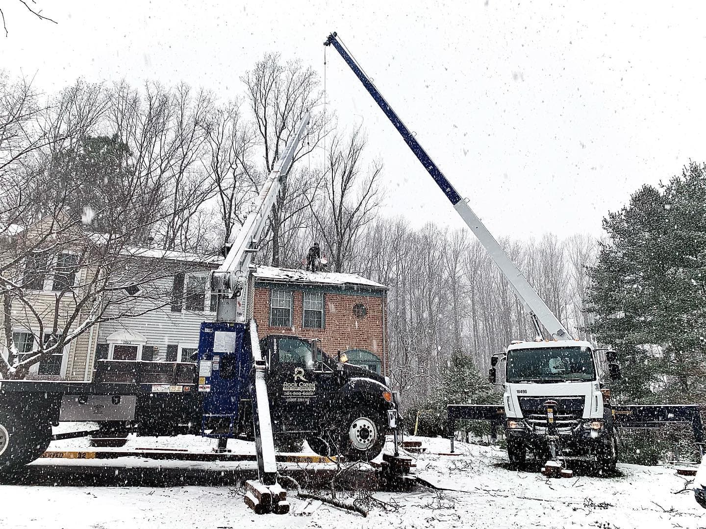 Two cranes performing emergency tree removal in a snow storm
