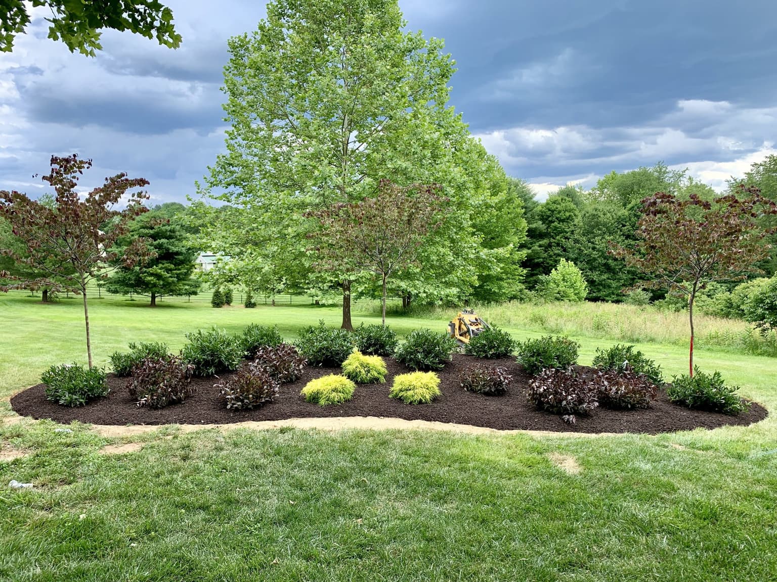 Rock Creek Tree crew performing professional tree service on a residential property in Montgomery County