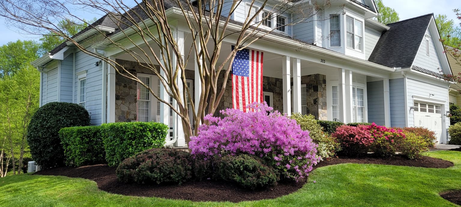 Caring for White Oak Trees in Maryland
