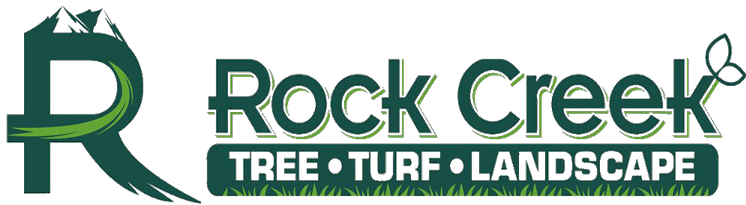 Tree Removal Costs Explained
