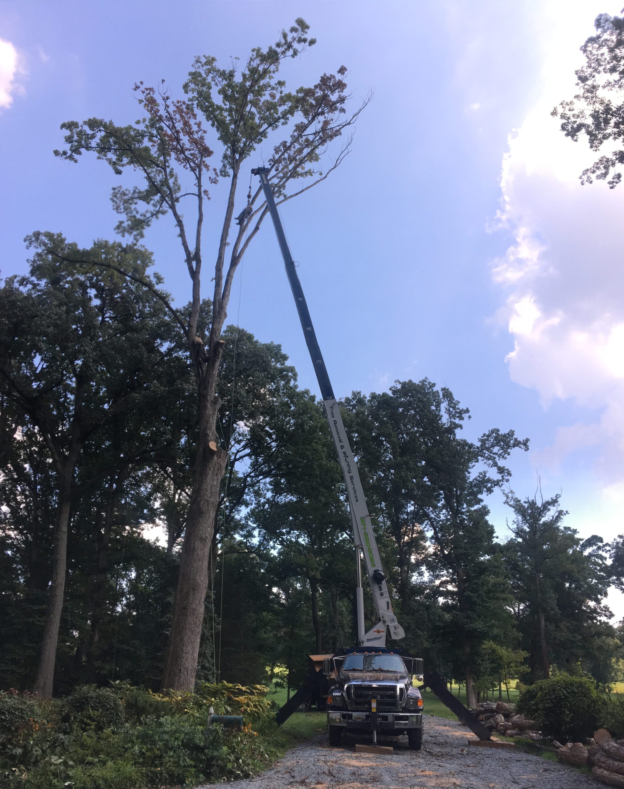 The Rock Creek crew removing a tree with the help of a crane in Olney