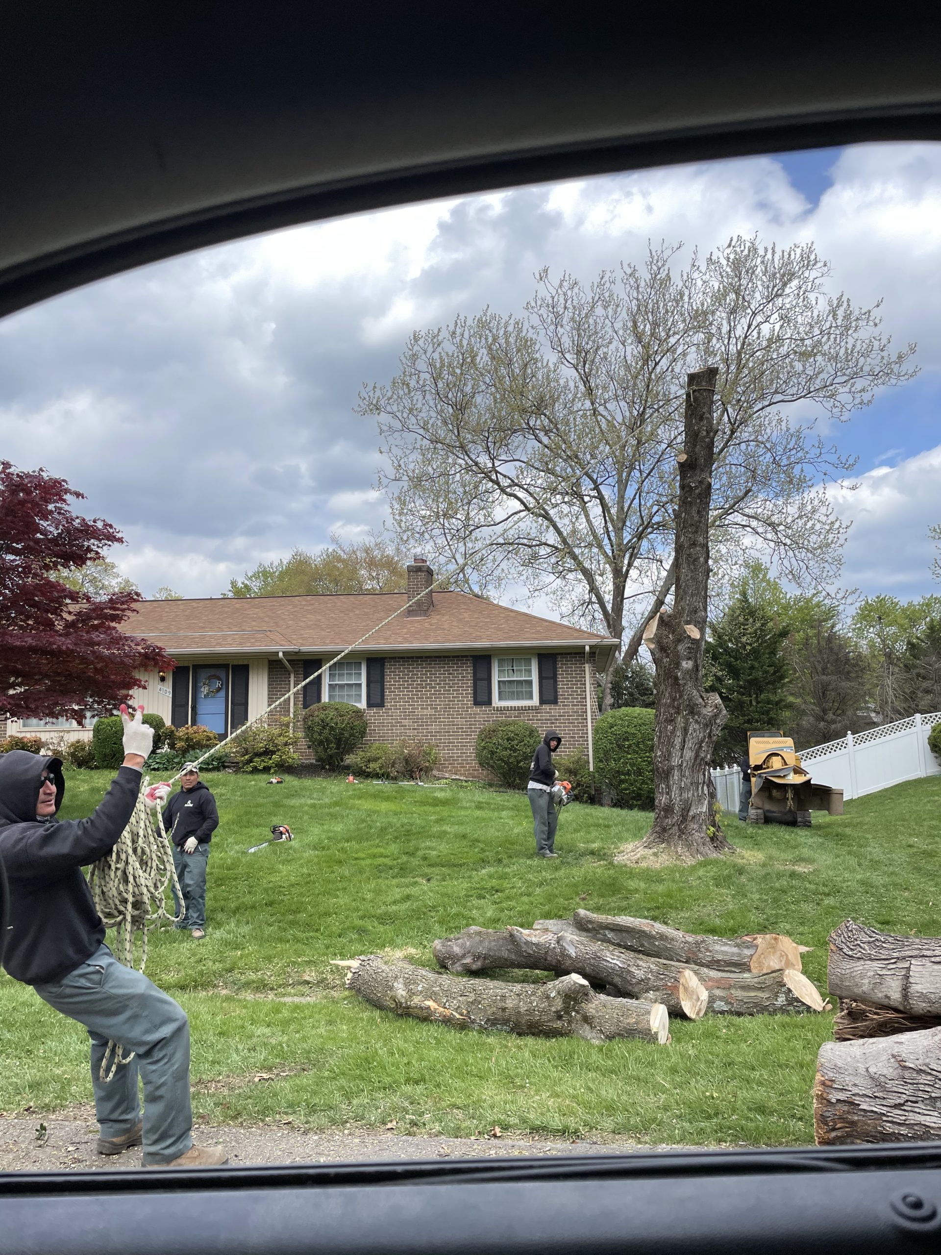 The Rock Creek crew removing a tree from a Bethesda home